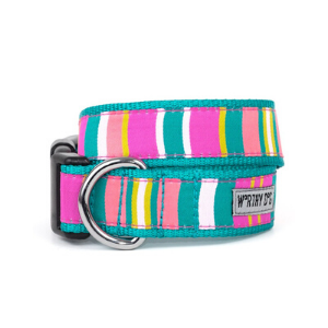 The Worthy Dog Fiesta Stripe Dog Collar - Mutts & Co.