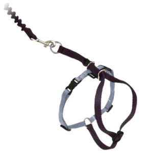 PetSafe Come With Me Kitty Harness & Bungee Cat Leash Black - Mutts & Co.