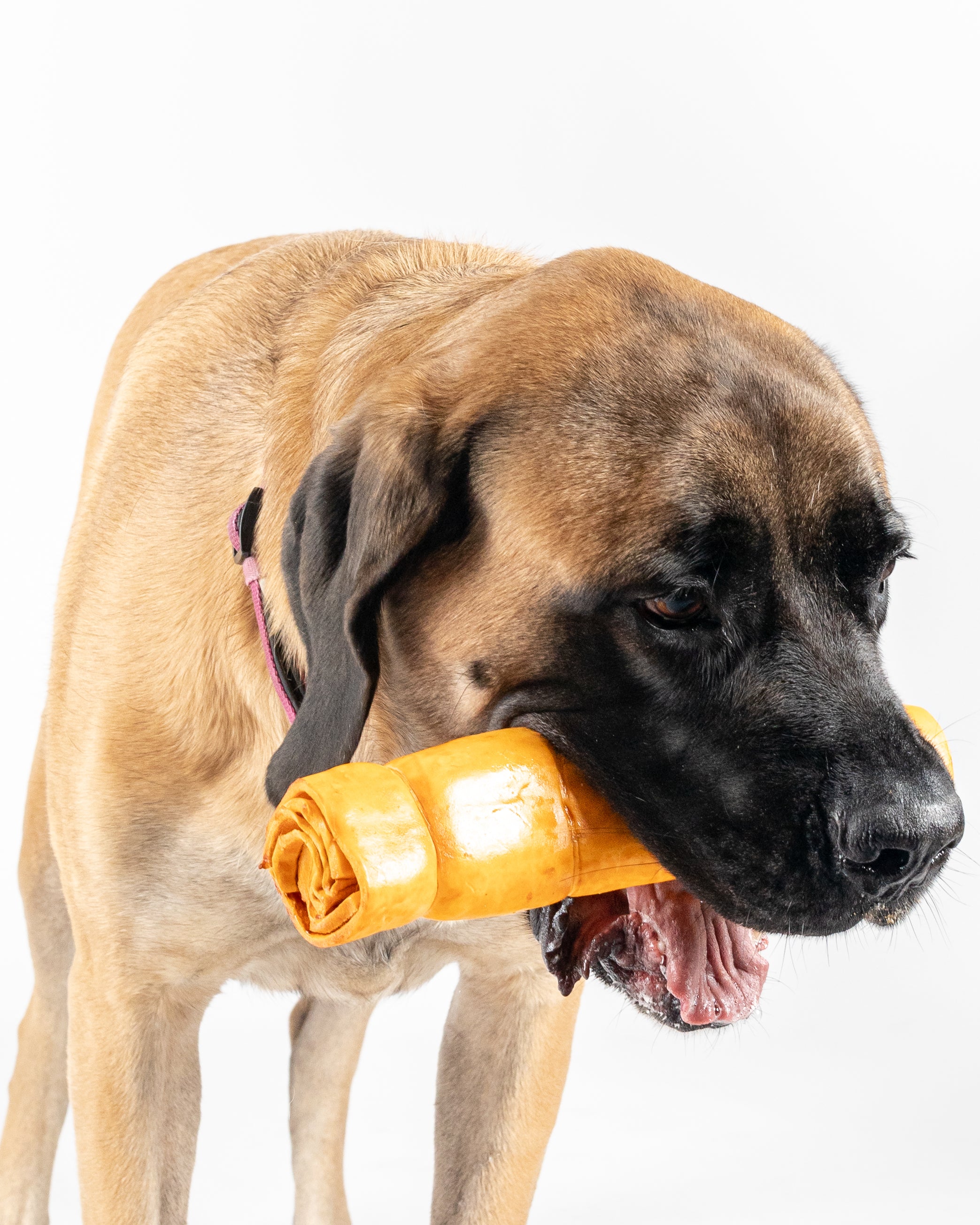 Boneanza Treat Co. Beef Cheek Roll Peanut Butter Dog Treats - Mutts & Co.