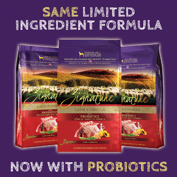 Zignature Lamb Limited Ingredient Formula Dry Dog Food - Mutts & Co.