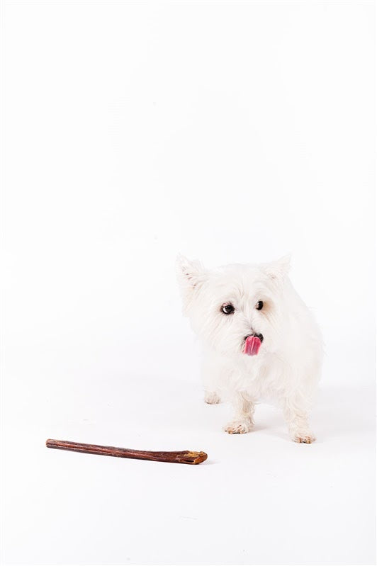 Boneanza Treat Co. Low Odor Standard Bully Stick 12" Single - Mutts & Co.