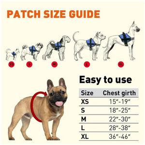 Dogline Unimax Multi-Purpose Dog Harness Black - Mutts & Co.