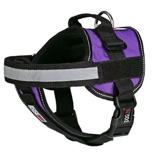 Dogline Unimax Multi-Purpose Dog Harness Purple - Mutts & Co.