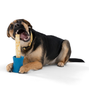 West Paw Design Funnl Dog Toy - Mutts & Co.