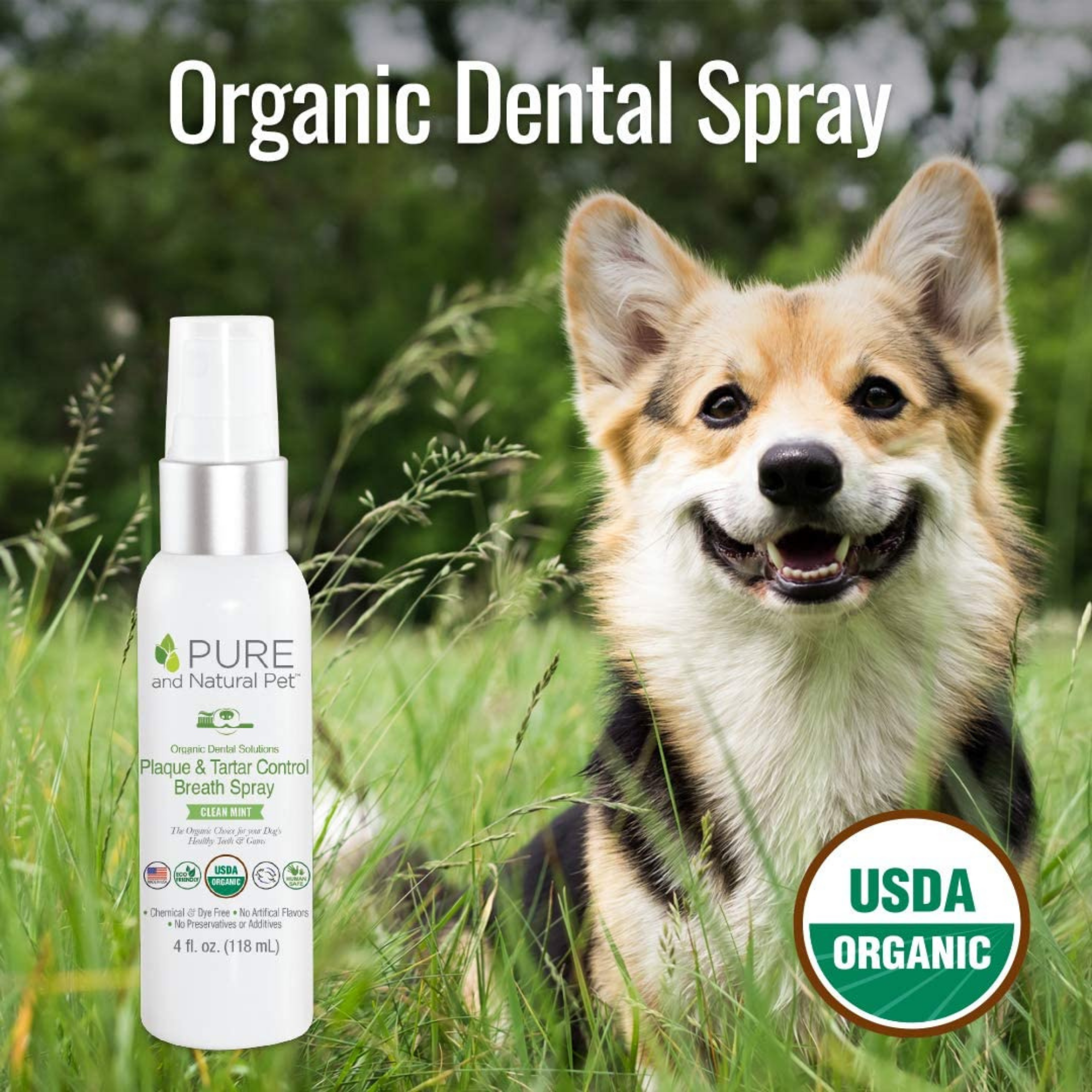 Pet breath outlet spray