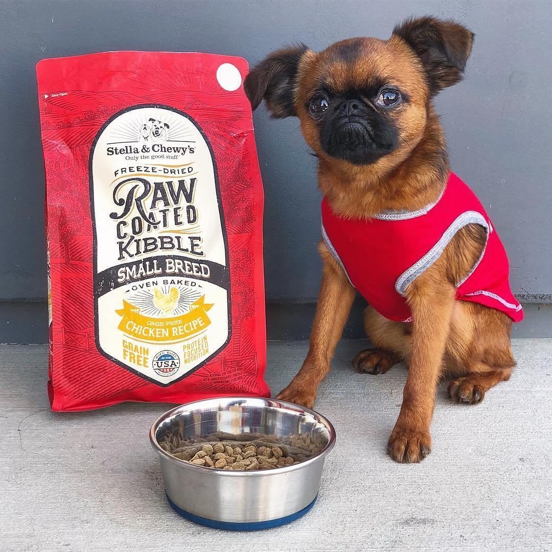 Stella & Chewy's Cage-Free Chicken Recipe Small Breed Raw Coated Baked Kibble Dog Food - Mutts & Co.