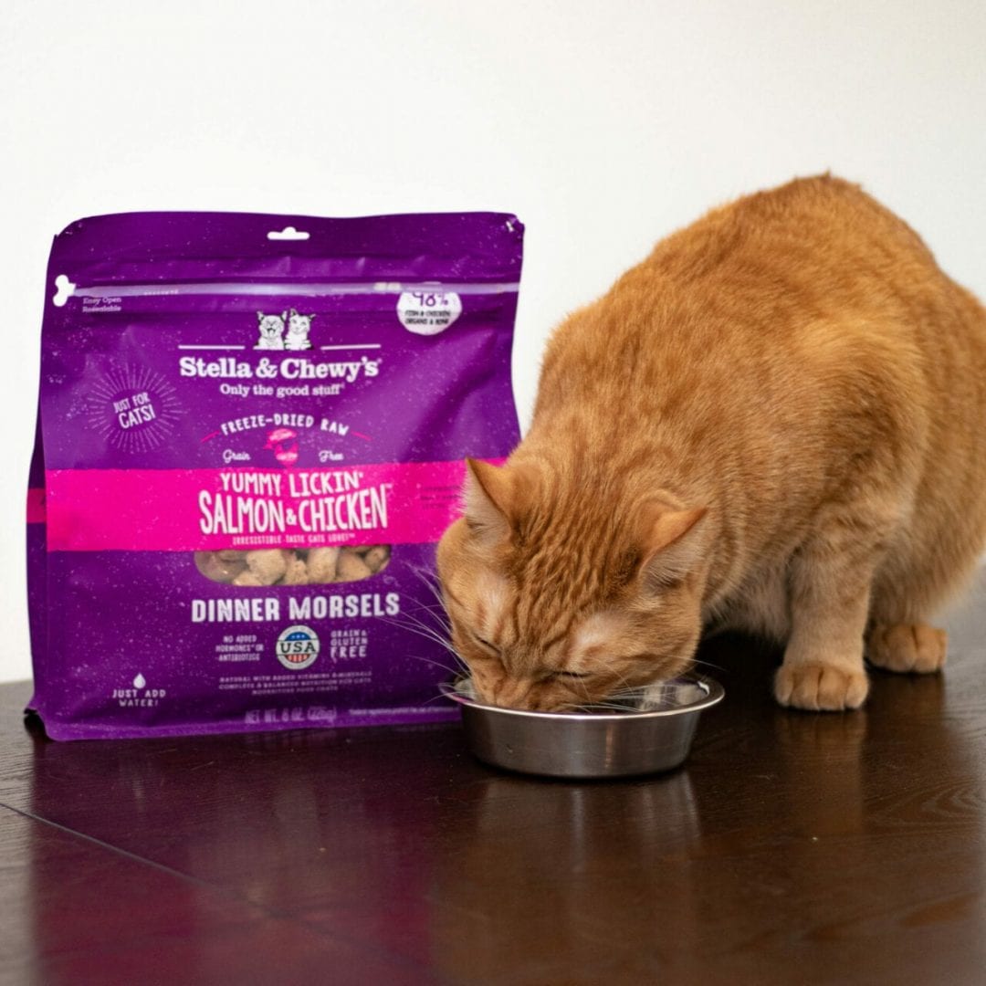 Stella & Chewy's Yummy Lickin' Salmon & Chicken Dinner Freeze-Dried Cat Food - Mutts & Co.