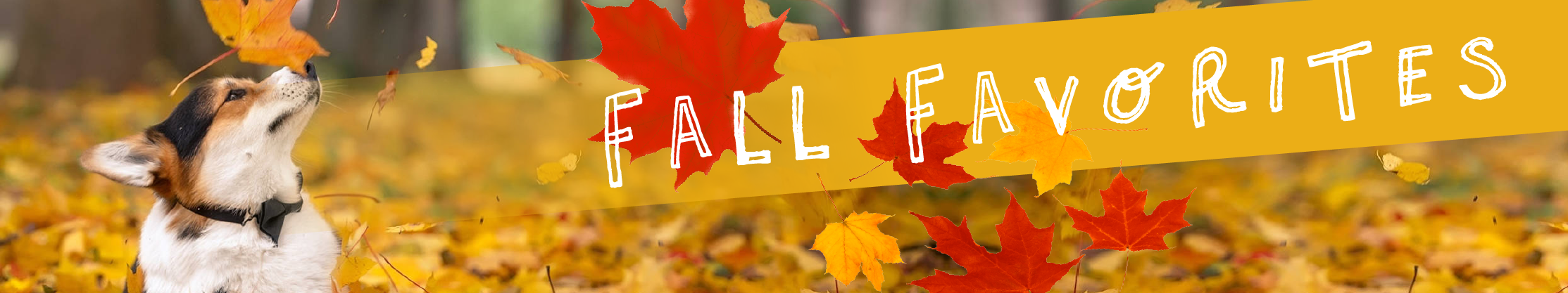 Fall Faves
