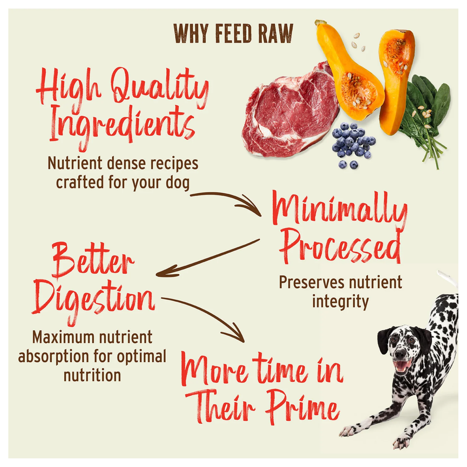 Promotional graphic titled “Why Feed Raw” showing raw meat and produce alongside text highlighting high-quality ingredients, better digestion, minimal processing, and improved vitality. A spotted dog appears on the right.