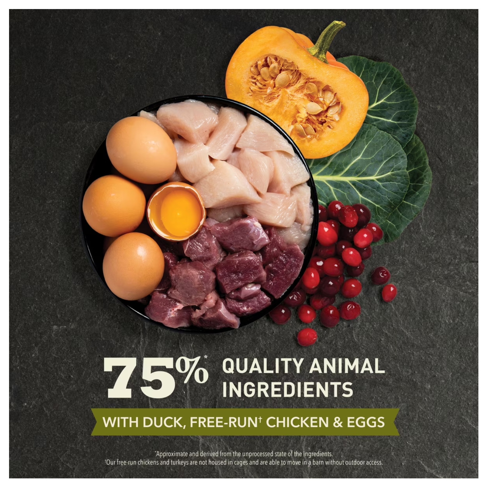 Top-down image of a bowl containing raw duck, chicken, eggs, and organ meat, surrounded by pumpkin, leafy greens, and cranberries, with text reading “75% quality animal ingredients with duck, free-run chicken & eggs.”