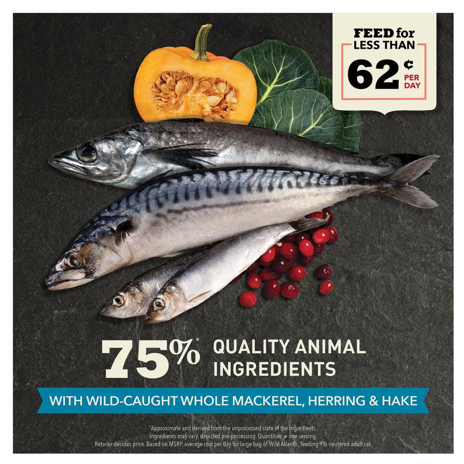 Three whole raw fish (mackerel, herring, and hake) arranged on a dark surface with pumpkin, leafy greens, and red berries; text reads “75% quality animal ingredients” and “with wild-caught whole mackerel, herring & hake,” plus a badge stating “Feed for less than 62¢ per day.”