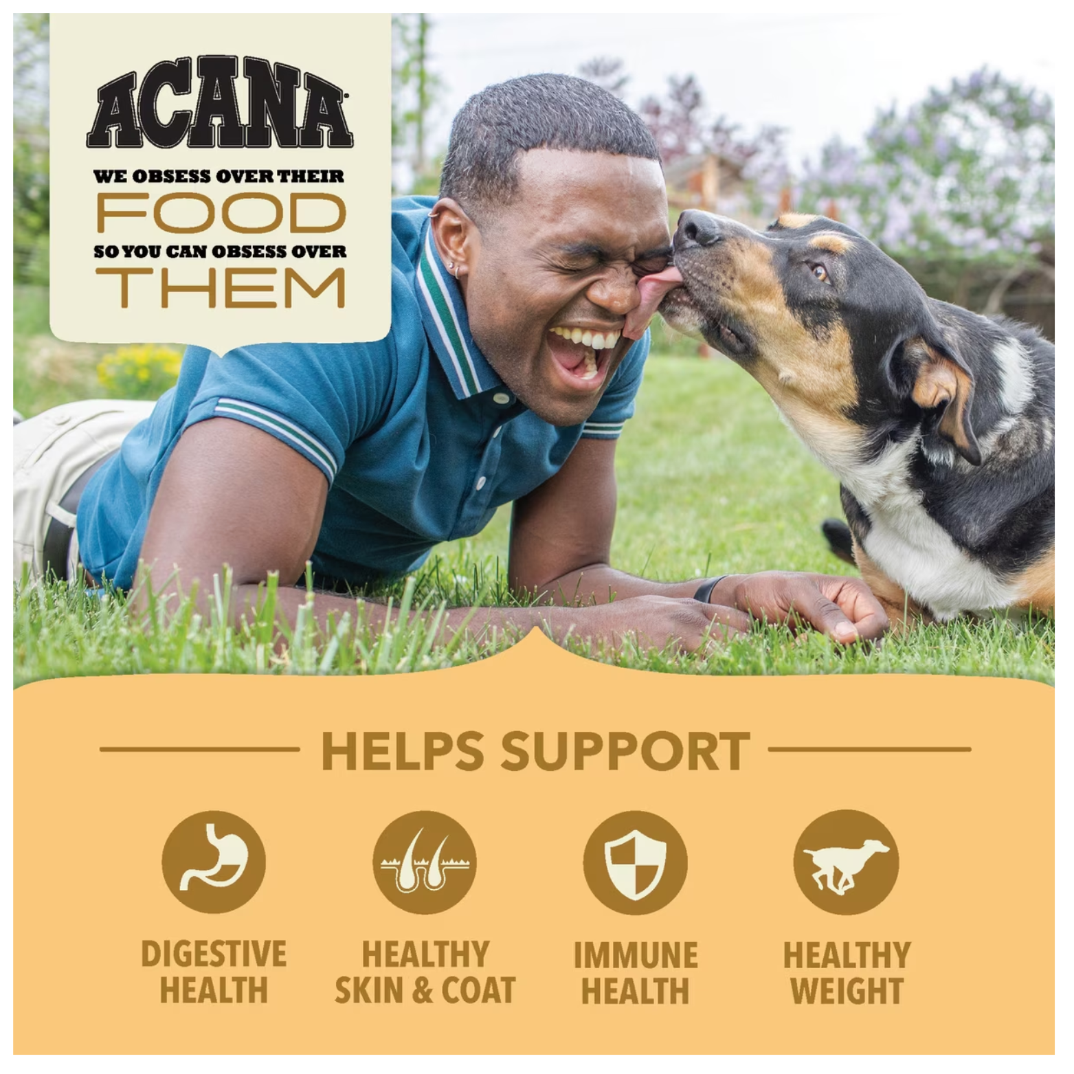 A lifestyle image of a man and a dog playing in the grass, with a yellow banner below highlighting four health benefits supported by the food: Digestive Health, Healthy Skin & Coat, Immune Health, and Healthy Weight.