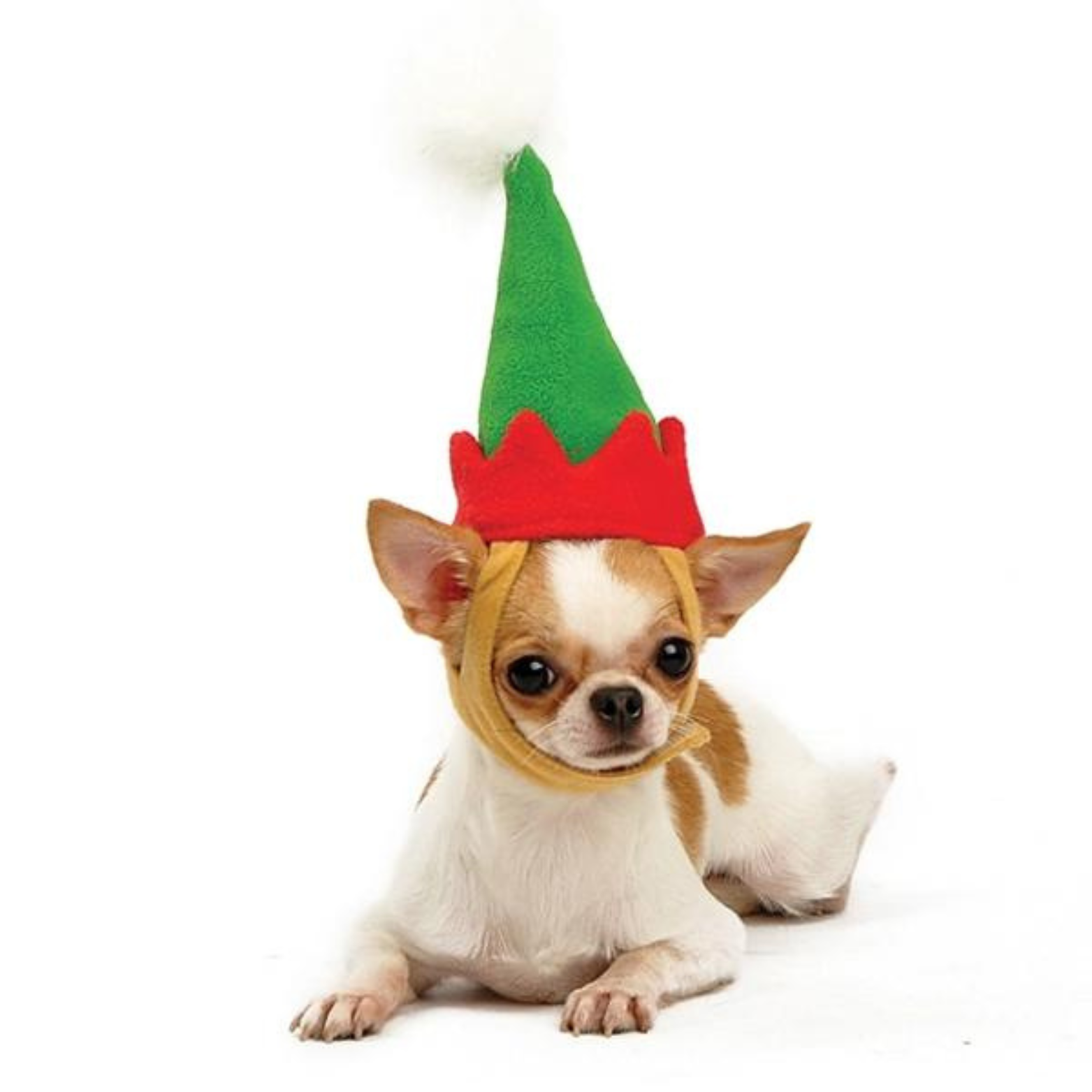 Dogo Pet Elf Hat for Dogs