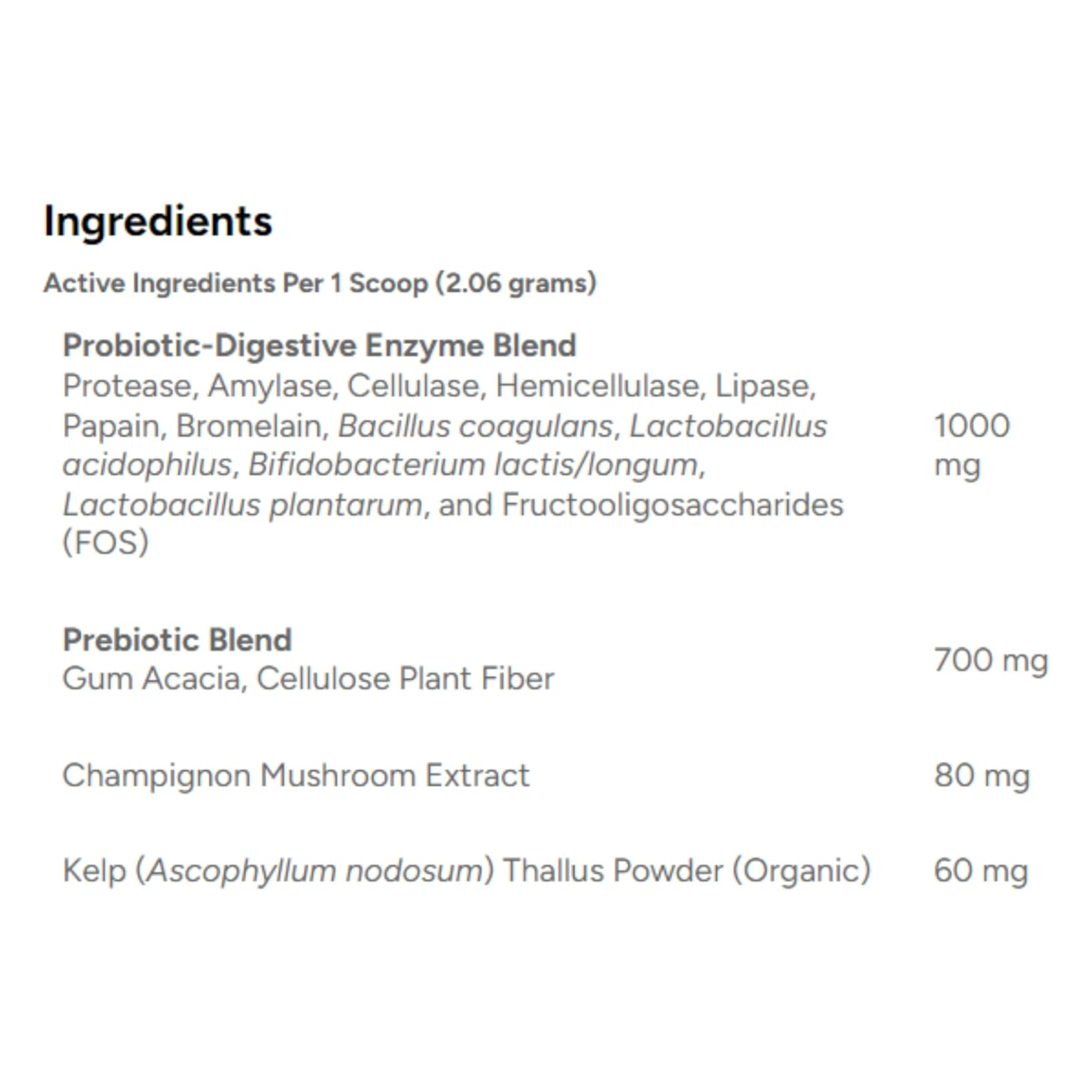 Dr. Marty ProPower Plus Digestive Gut Health Powder for Dogs 2.2 oz