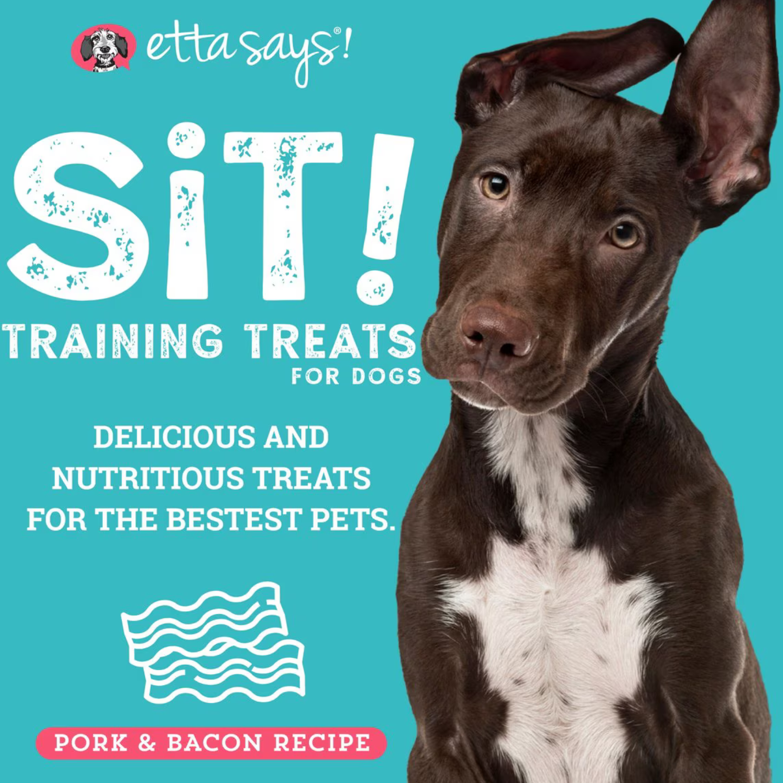 Etta Says! Sit! Training Treats Bacon Recipe Dog Treats 1-lb