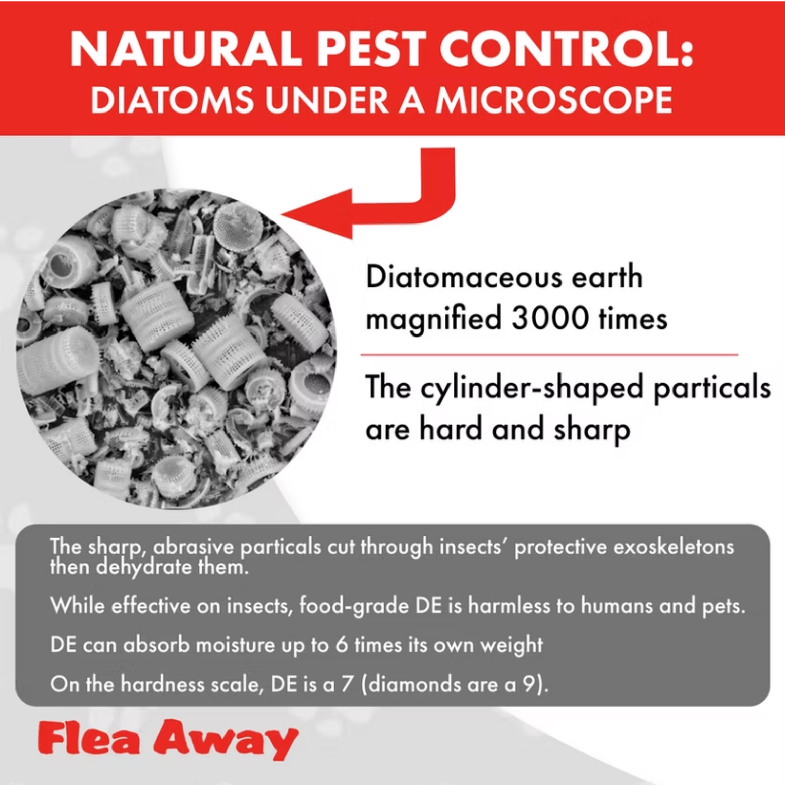 Flea Away Diatomaceous Earth Flea Killer Dog & Cat 12oz