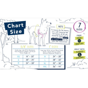 2 hounds design freedom no pull dog harness & leash hot sale