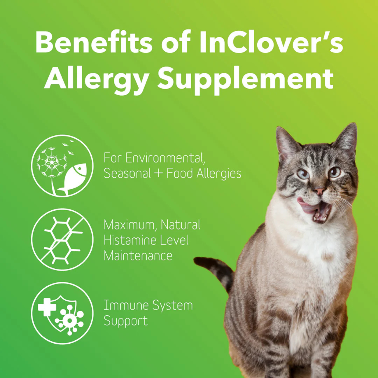 InClover Allergy Supplement for Dogs + Cats (BioResiliant)