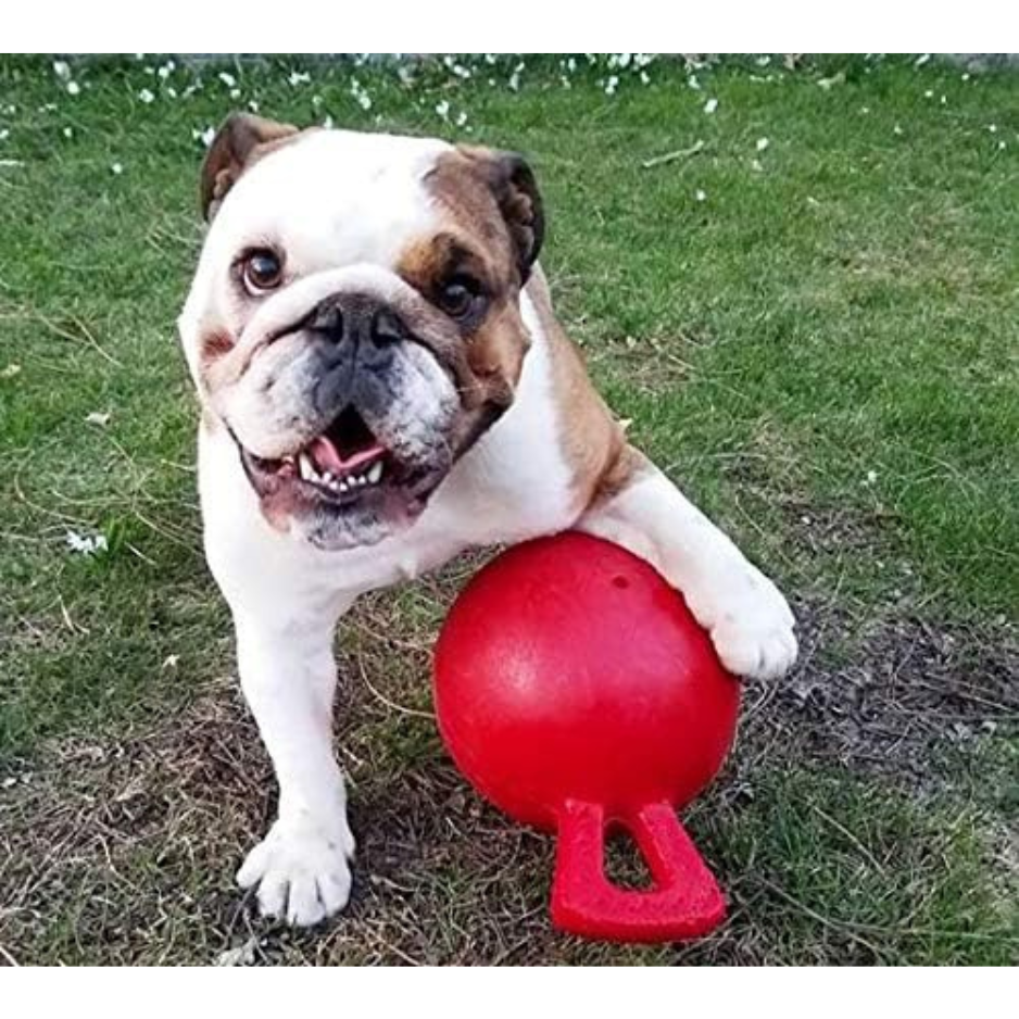 Jolly Pets Tug-N-Toss Red