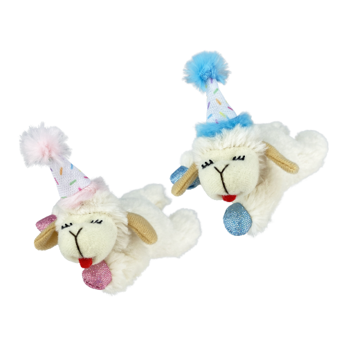 Multipet Cat Lamb Chop Birthday Catnip Toy, Assorted