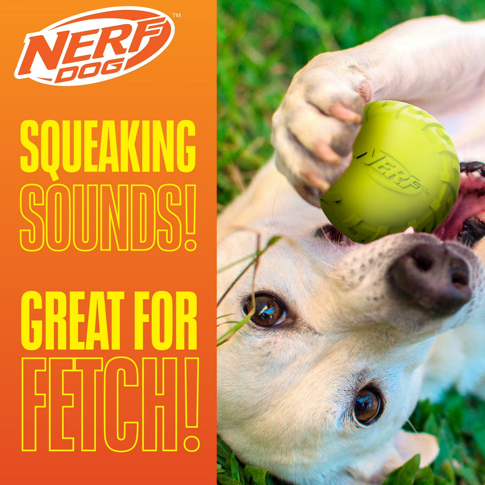 Nerf Dog Tire Squeak Ball Fetch Toy, Green, 3"