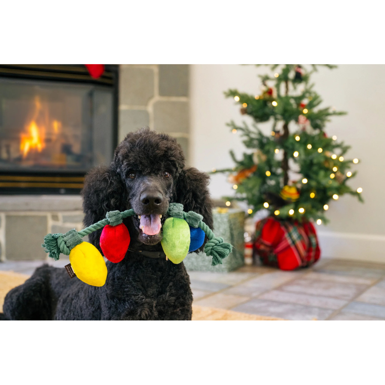 P.L.A.Y. Pet Lifestyle and You Home For the Holidays- Twinkly Tugger Dog Toy