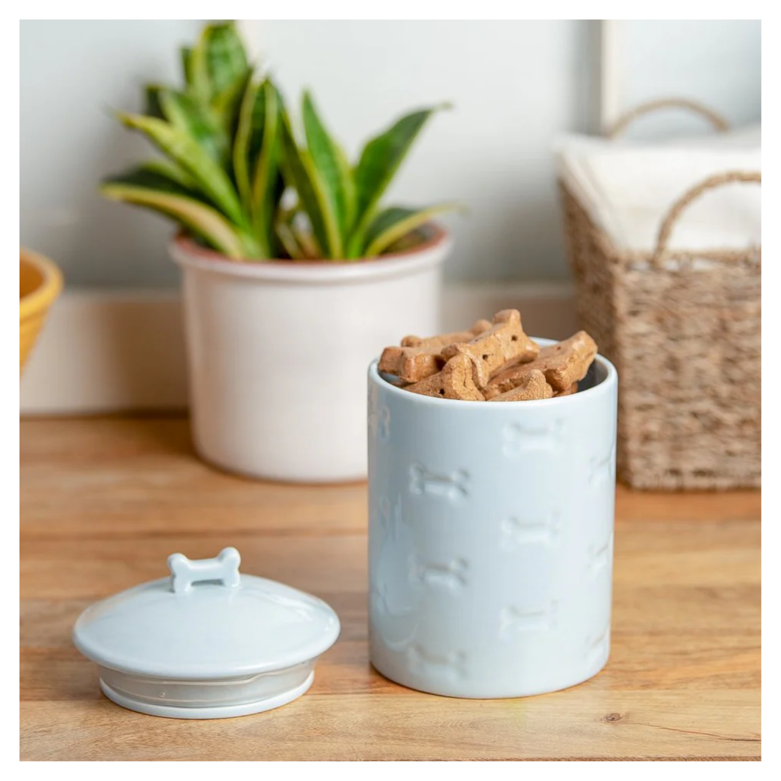 Light blue ceramic pet treat jar with embossed bone designs filled with dog treats, shown with the lid removed on a wooden surface in a home setting.