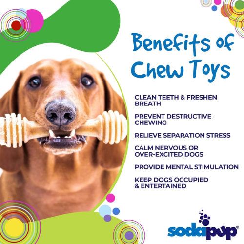 SodaPup Honey Bone eChew Durable Nylon Dog Chew Toy