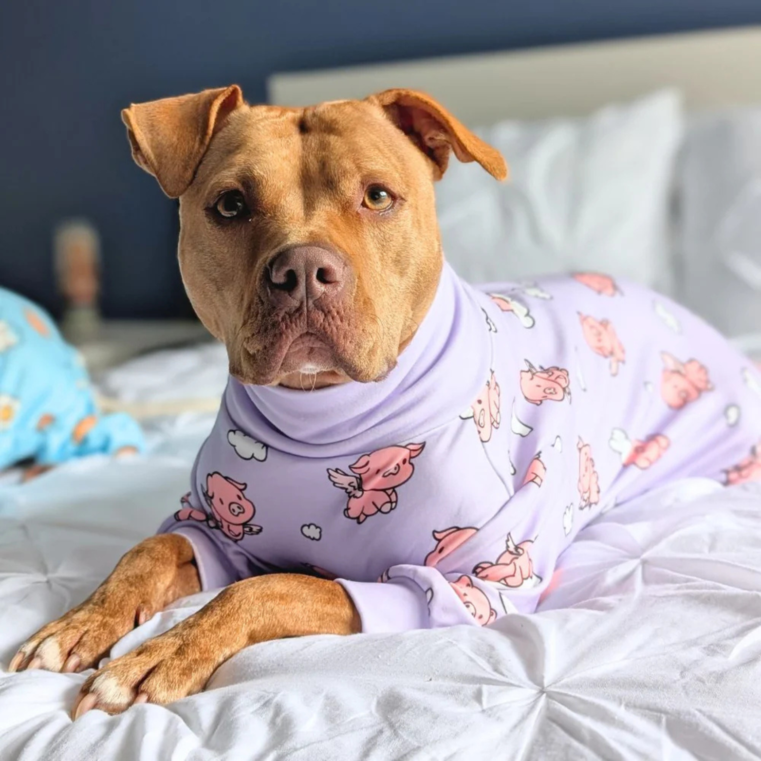 Spark Paws Dog Pajama When Pigs Fly