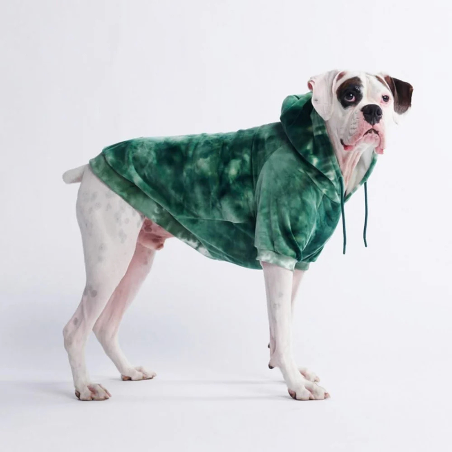 Spark Paws Velvet Dog Hoodie Emerald Green