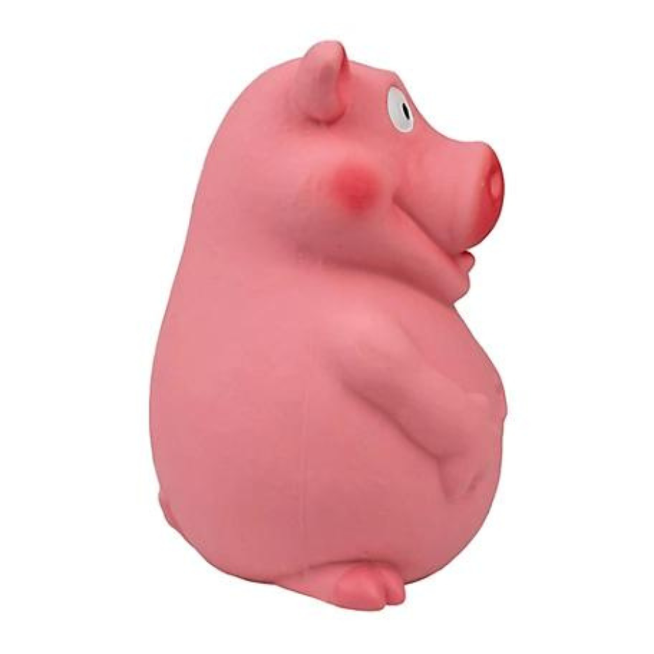 Territory Latex Pig Squeaker Dog Toy