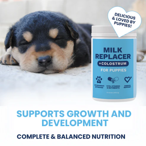 Under The Weather Milk Replacer with Colostrum Powder for Puppies 12oz