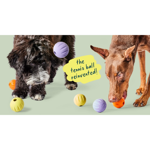 Woof Pet Forager Flyball Dog Toy 3-Pack