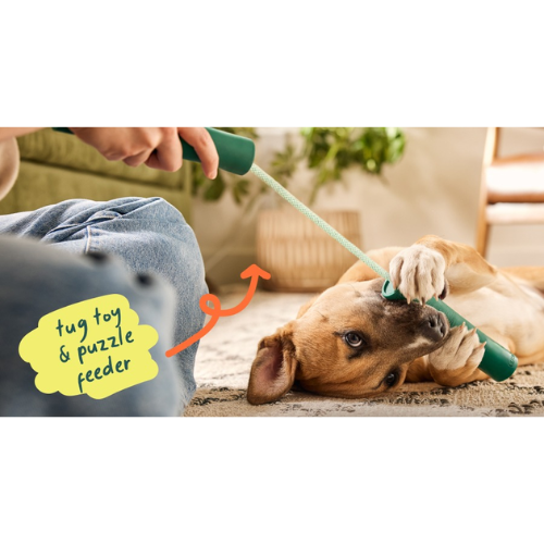 Woof Pet Forager Nomchucks Dog Toy