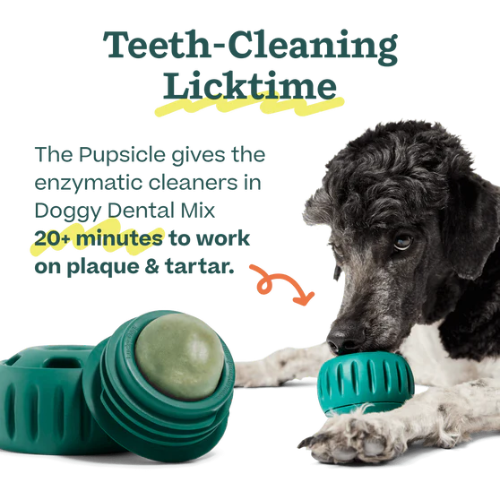 Woof Pet Treat Mix Dental Refills Dog Treat 5.5 oz