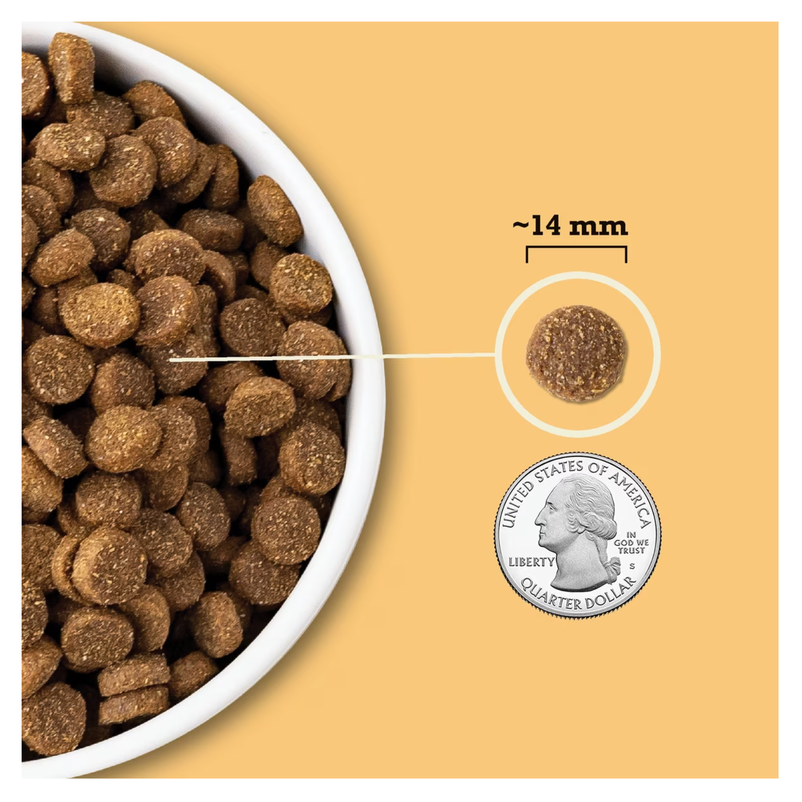A close-up view of dark brown, circular dog kibble in a white bowl. One piece of kibble is highlighted with a measurement of approximately 14 mm and compared for scale against a U.S. quarter.
