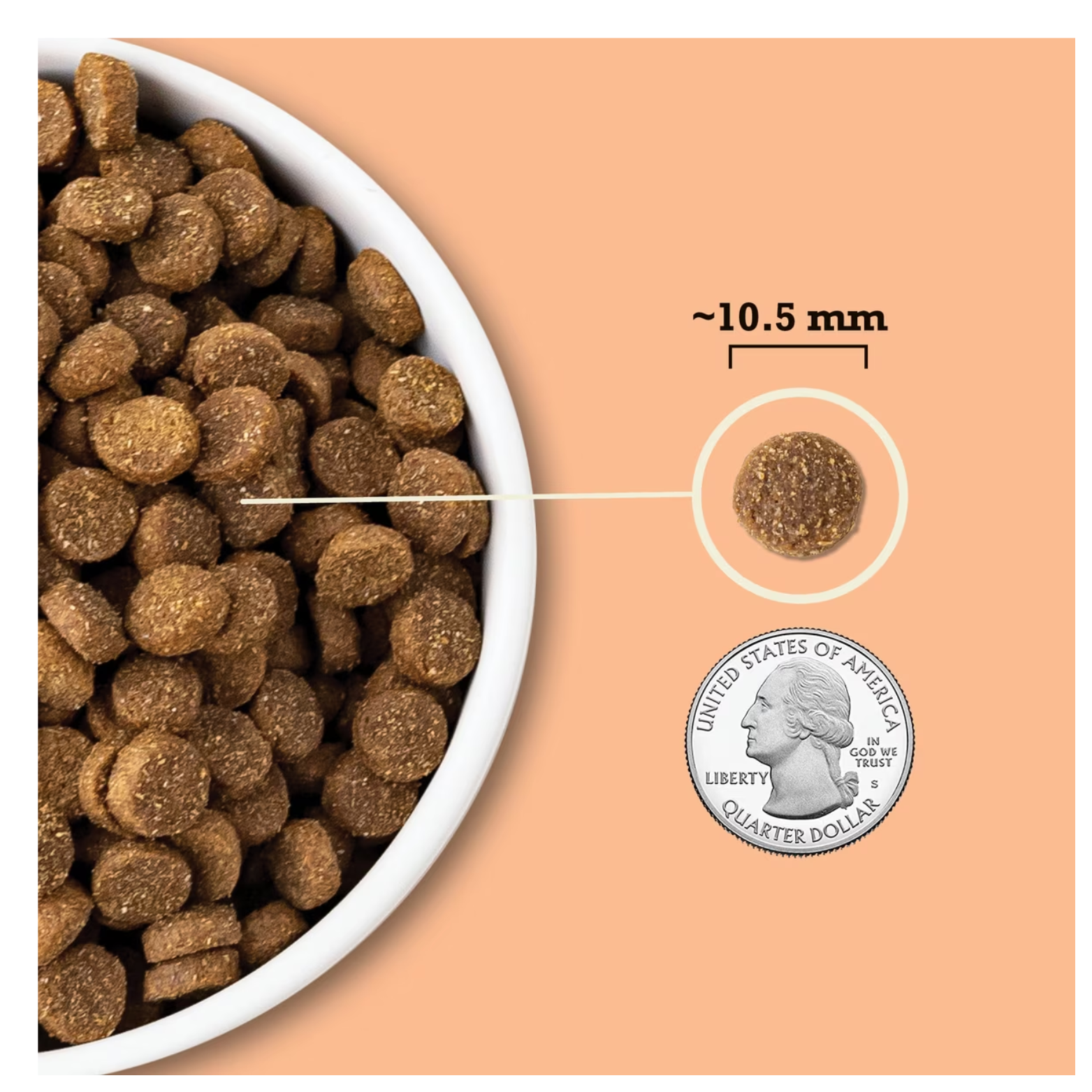 Close-up of ACANA puppy kibble in a bowl with one piece highlighted and labeled approximately 10.5 millimeters in diameter, shown next to a U.S. quarter for size comparison.