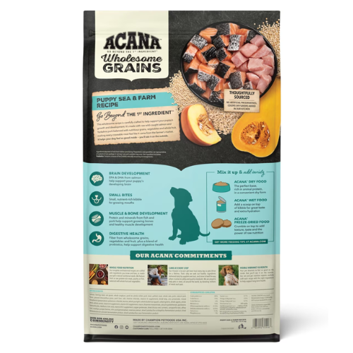 “Back of ACANA Wholesome Grains Puppy Sea & Farm Recipe dog food bag, showing raw salmon and pork pieces with grains and pumpkin, icons highlighting benefits for brain development, small bites, muscle and bone development, and digestive health, a feeding mix guide, and panels with ingredient and nutrition information.