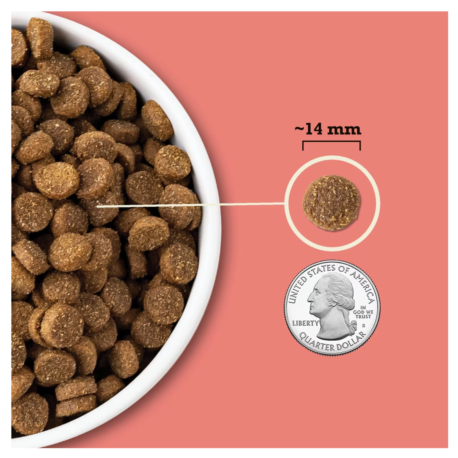 A close-up view of dark brown, disc-shaped dog kibble in a white bowl. A single piece of kibble is pulled out and compared to the size of a U.S. quarter, with a label indicating the kibble is approximately 14 mm in diameter.