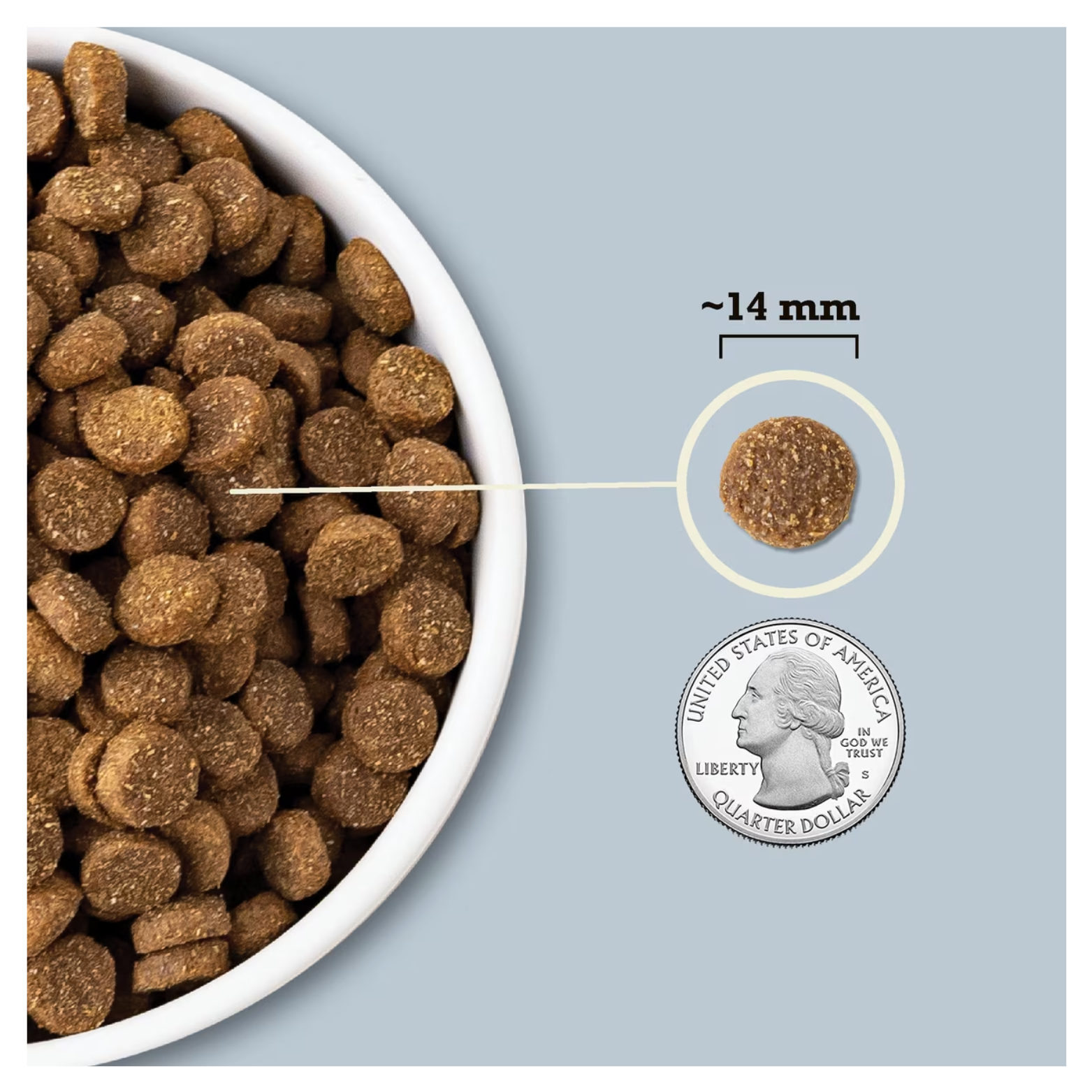 Close-up of brown dry dog food kibble in a white bowl with a single kibble highlighted. Text indicates the kibble size is approximately 14 millimeters, shown next to a U.S. quarter coin for scale.