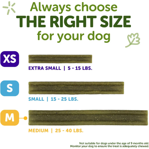 Whimzees Freshzees Dental Chews Natural Dental Dog Treats