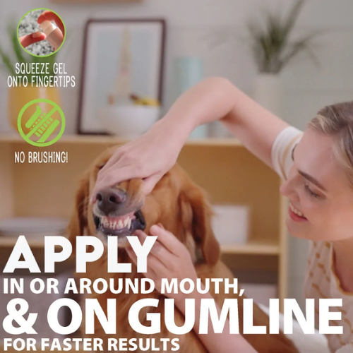 Adore Pet Complete Oral Care Gel for Dogs Peppermint 1 oz