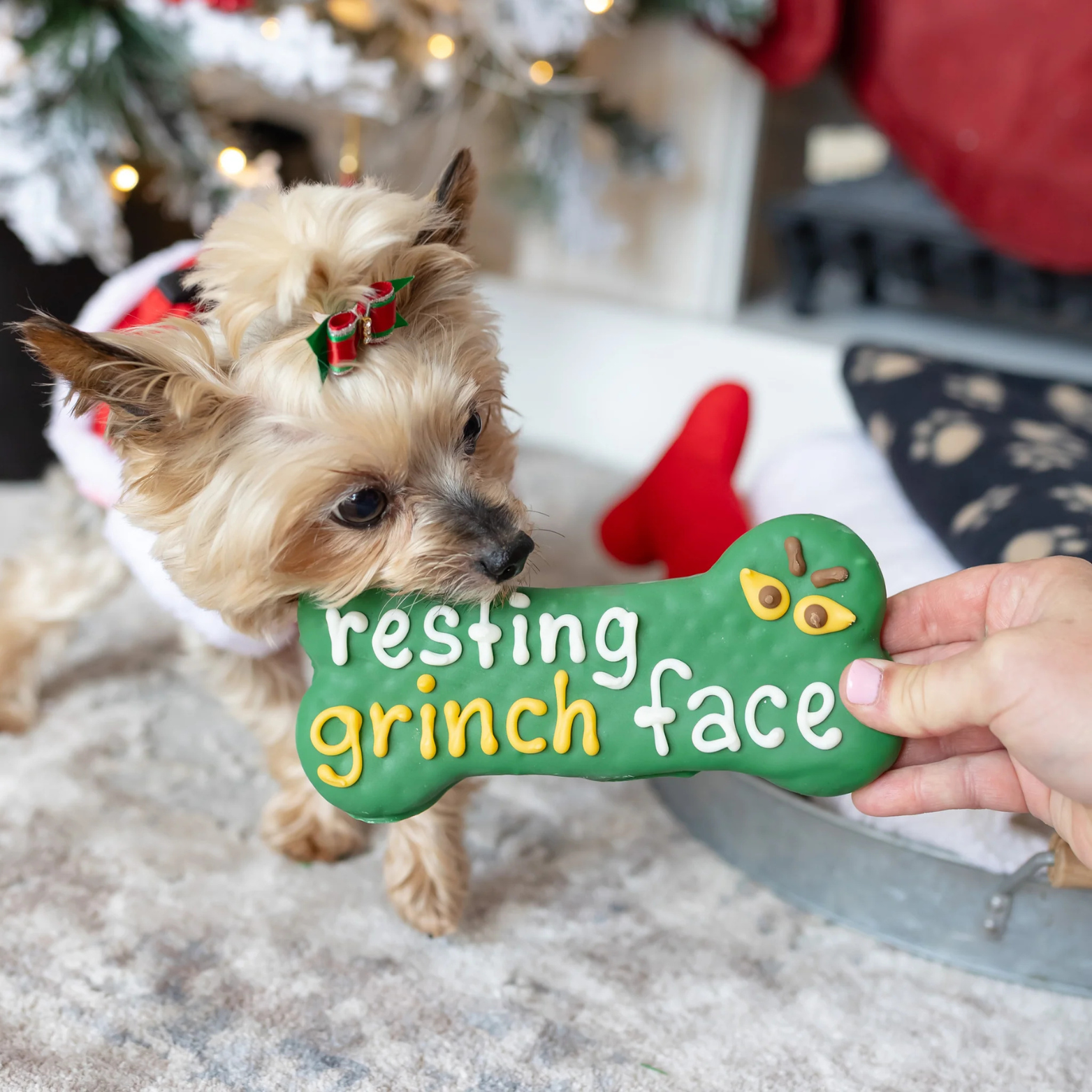 Bosco & Roxy's Resting Grinch Face Large Bone Holiday Gourmet Cookie