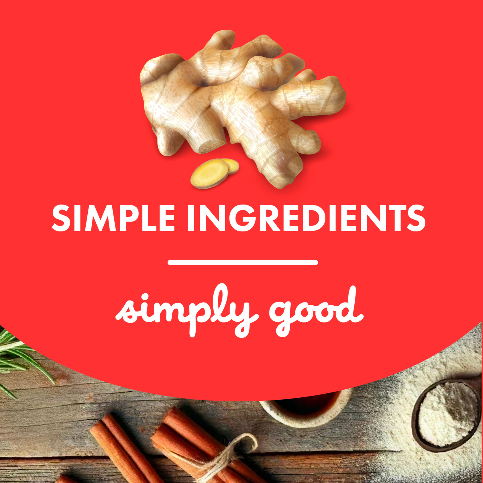 Cloud Star Buddy Biscuits Crunchy Dog Treats Gingerbread 16 oz