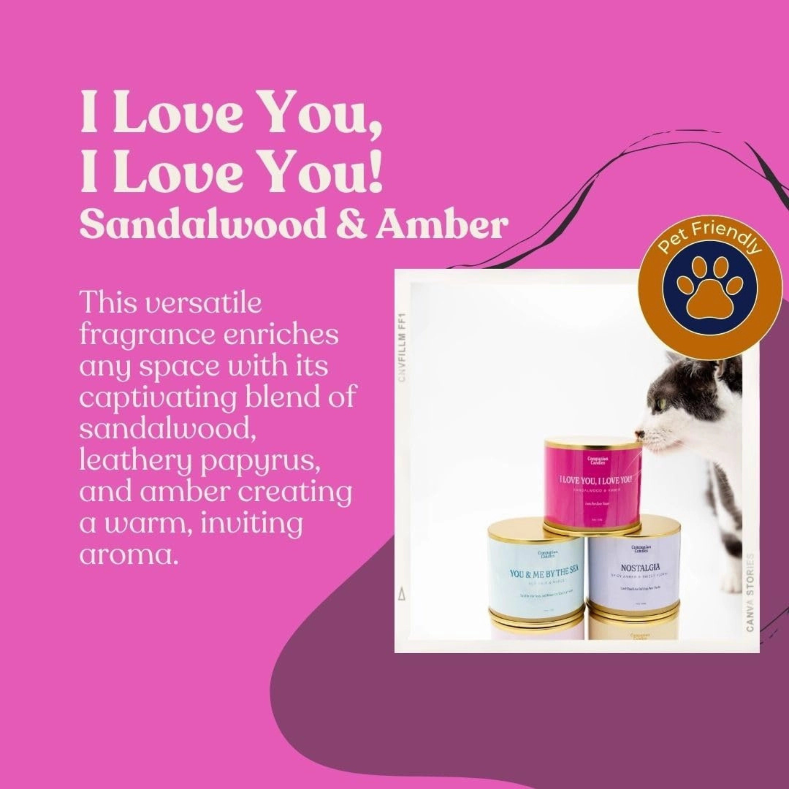 Companion Candles Pet-Safe Soy Candle Sandalwood & Amber