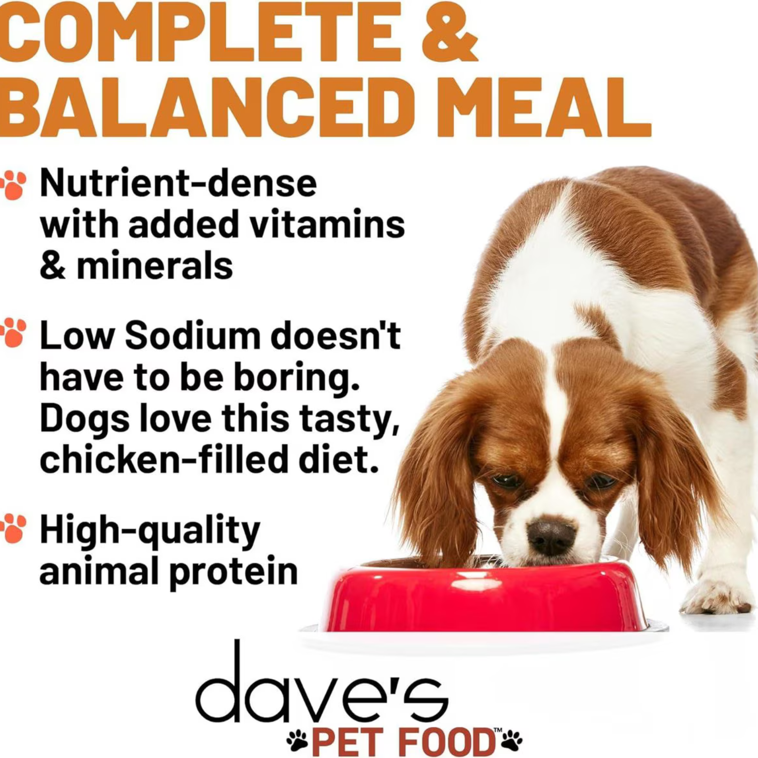 Dave's Pet Food Restricted Sodium Chicken Recipe Grain-Free Dinner Canned Dog Food, 13.2-oz