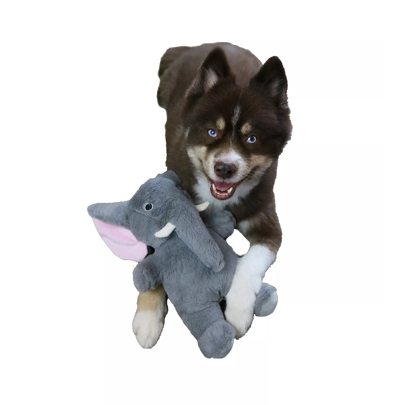 Dogstar Toys Savannah the Elephant Plush Dog Toy