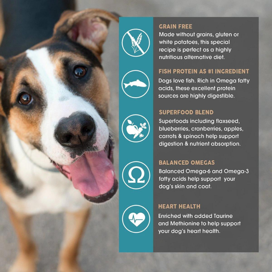 Coastal catch dog sales food