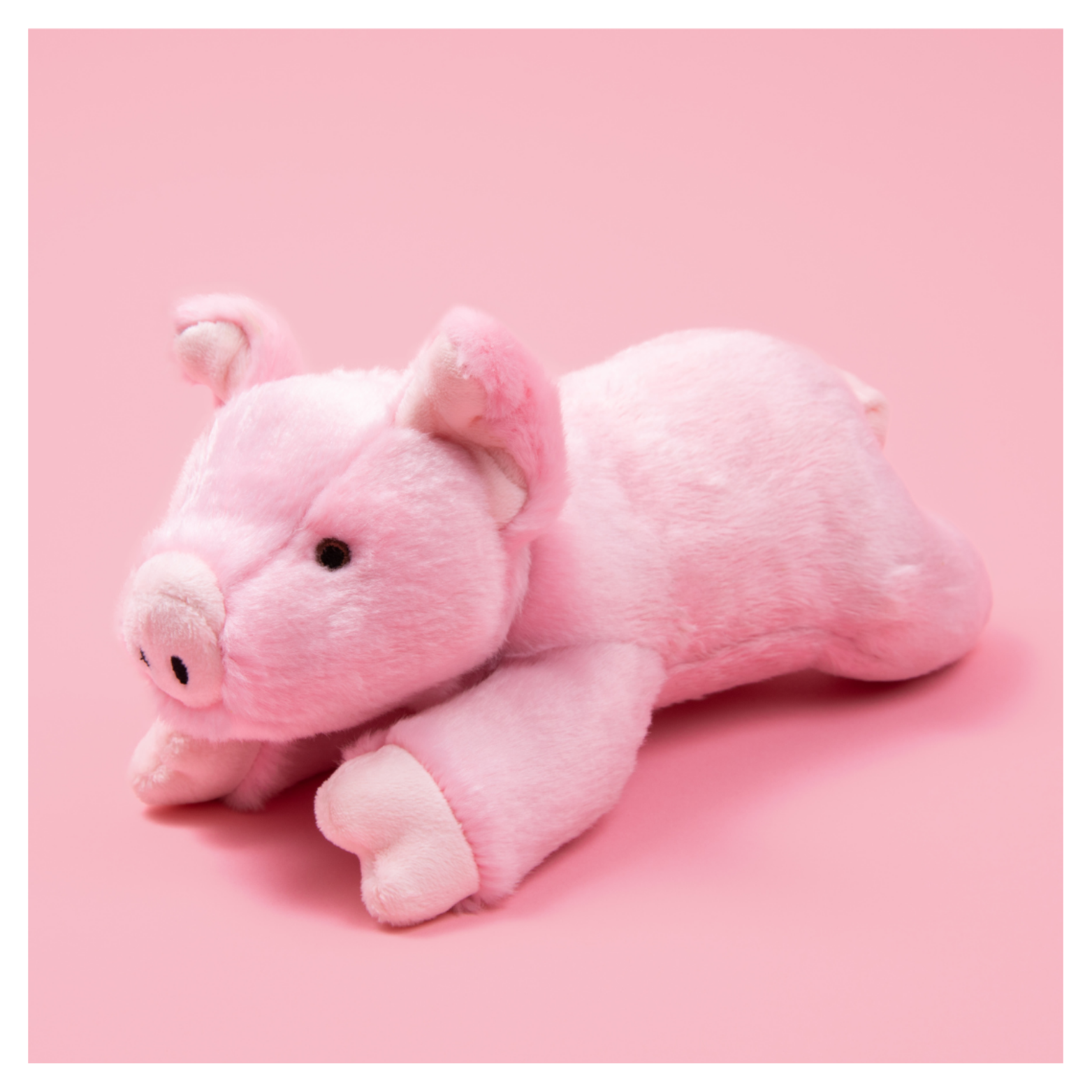 Pink plush pig dog toy posed on a solid pink background, lying down with its head turned slightly to the side.