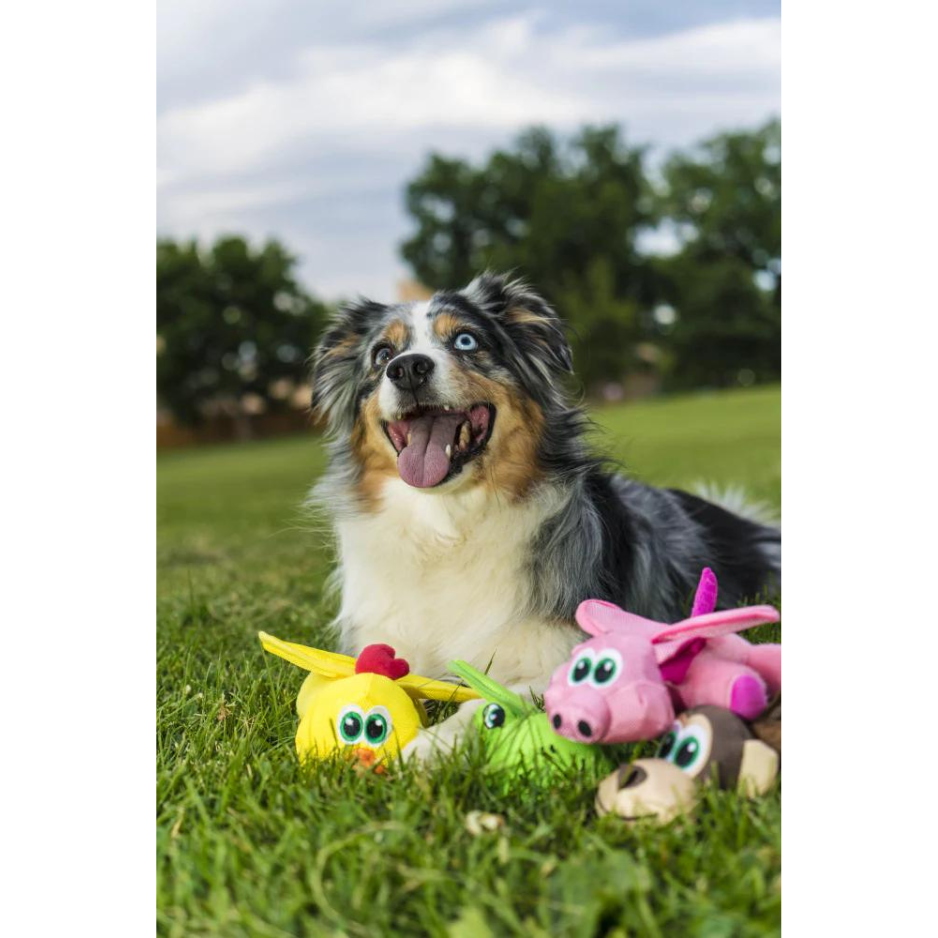 Funky Flingerz on Stick Pig Dog Toy
